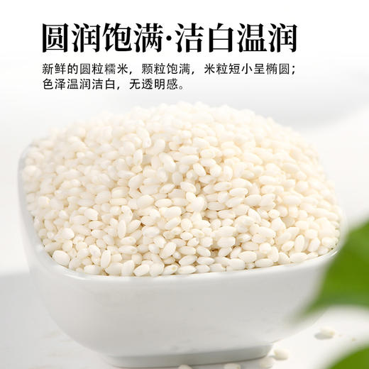 美丽农庄有机糯米 东北小圆白糯米粒粽子芒果糯米饭1.25kg/袋 商品图2