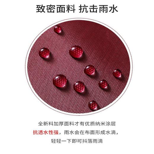 【天堂雨衣 N1208电动车雨衣】风雨无惧，一披天堂雨衣，乐享逍遥。全身防水防风，高透帽檐，视线清晰。雨天必备，热销推荐！ 商品图2