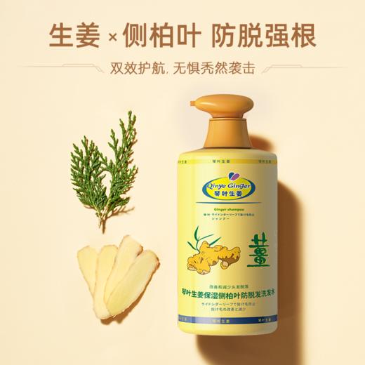 【洗护好物丨琴叶生姜洗发水1000ml】二十年老品牌，去屑/滋润/控油三款随心选，超大瓶装性价比高，护发素修护受损发质，老姜萃取+淡淡柠檬味道，植物配方温和不刺激 商品图1
