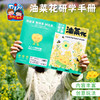 户外春天油菜花研学手册手工diy自然美育儿童制作材料包幼儿园 商品缩略图2