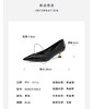 westory2024年秋季新款小尖头细高跟舒适优雅正装单鞋S24CE75311 商品缩略图2