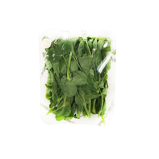 豌豆尖（份） 商品图0