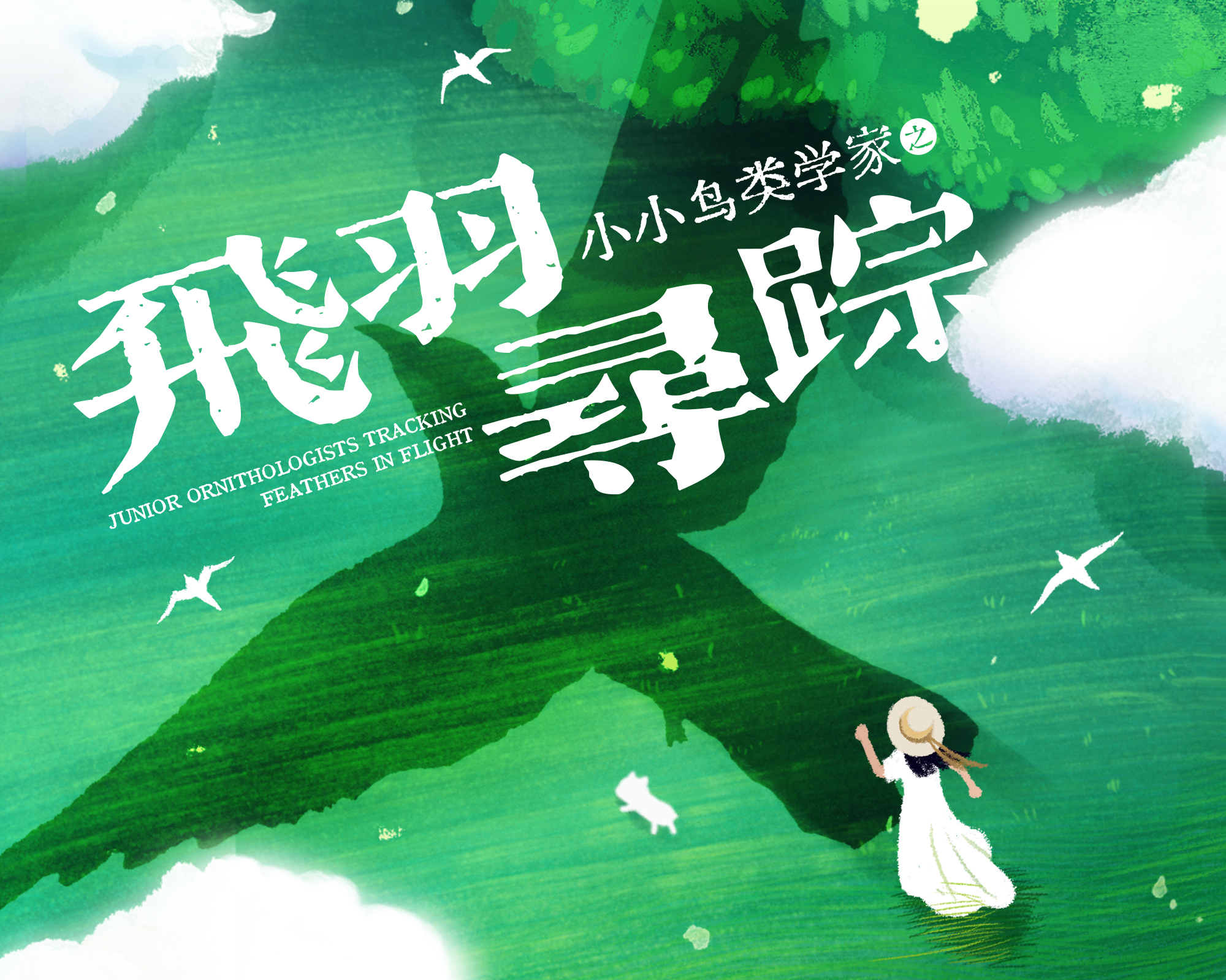 招募｜小小鸟类学家之飞羽寻踪