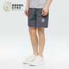 【官方正版】德国国家队 | 春夏百搭透气灰色短裤男士球迷 商品缩略图1