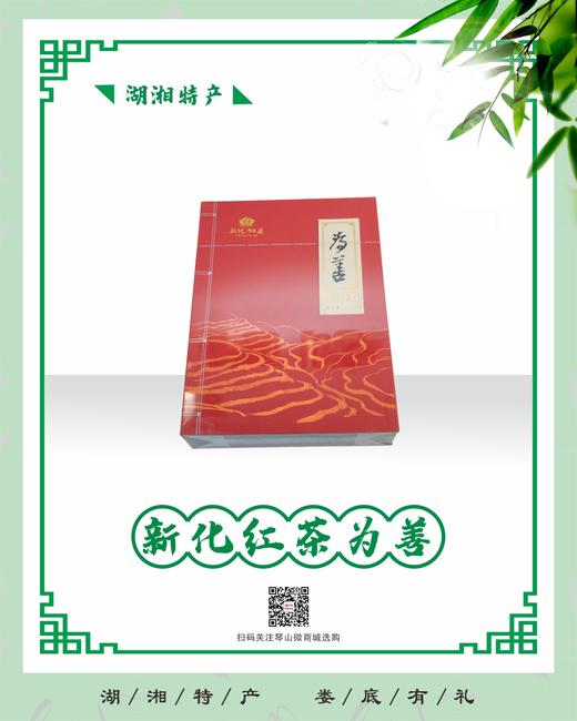 新化红茶  为善 商品图2