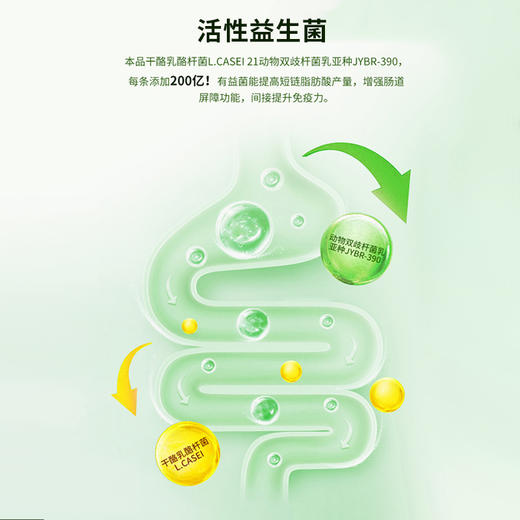 【V健康】益生菌蛋白粉 商品图4