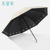 【元气蜜桃。晴雨两用】天堂伞33755E元气蜜桃，黑胶雨伞女神器。无畏紫外线，承受暴雨。现实中的伞，虚无的保护。 商品缩略图9