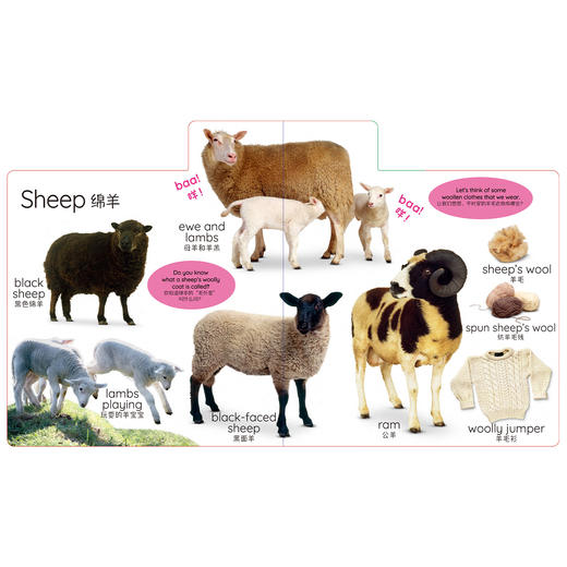 “DK儿童认知百科”系列：《 四季如歌》《日常生活》《开心农场》（全3册） 商品图8