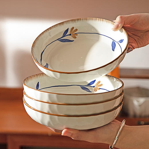 摩登主妇釉下彩陶瓷盘子家用菜盘2025新款高级感餐具碟子餐盘深盘 商品图0