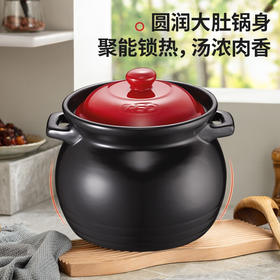 【分仓直发包邮】爱仕达天然陶瓷养生煲JLF25CP-TG