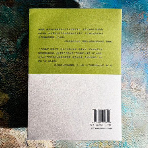 丰子恺漫画课 读懂外公的画 图文结合 诗画互证 家庭教育 商品图2