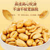 桃园建民炉烤I 五香I 麻辣大花生106g 商品缩略图4