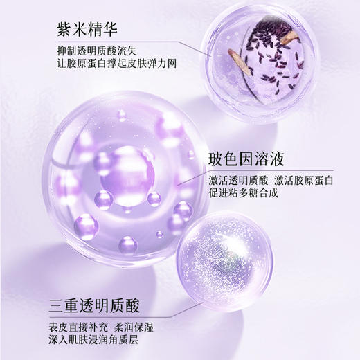 【HF】无忧购修丽可紫米丰盈精华液15ml(截单后3-5天发货) 商品图2