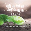 【03.07-04.26 | 亲子半日营】植树节活动 “植”此新绿，“树”立未来 商品缩略图0