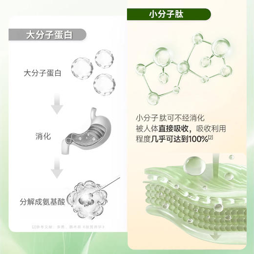 【V健康】益生菌蛋白粉 商品图2