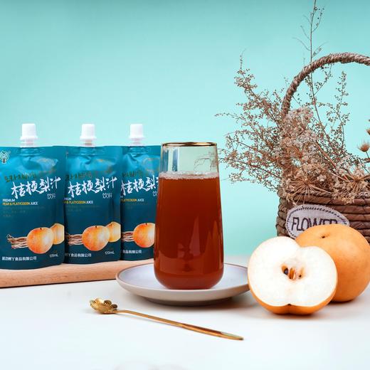 【延边特产】桔梗梨汁紫洋葱汁覆盆子汁黑蒜汁蓝莓汁桑椹汁枳椇子汁复合果蔬汁 商品图1