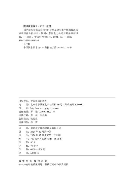 国网山东省电力公司电网小型基建与生产辅助技改大修项目作业指导书 商品图3