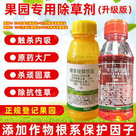 果园专用除草剂草甘膦精草铵膦茶园柑橘橡胶桑园强力除杂草烂根剂