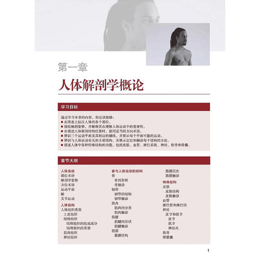功能解剖学 第2二版 王骏等主译 探索和理解人体的结构 局部解剖和运动特点 骨骼和肌肉触诊方法 人体基本结构 辽宁科学技术出版社 商品图3
