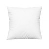 泷见居抱枕内芯45*45cm 商品缩略图0