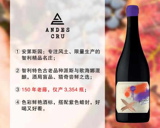 【现货促销，整箱更优惠】智利精品名庄：安第斯园伊斯派斯干红（2022年） 商品图0