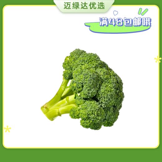 迈绿达优选【西兰花】  1个1.5斤左右 商品图0