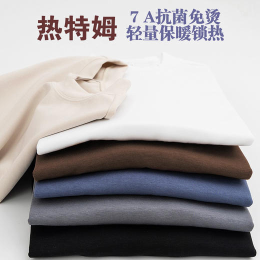 岸纾 日本进口热特姆莱赛尔保暖7A抗菌防螨260克T恤（6色可选）  经典内搭半高领柔软舒适N1850 商品图1