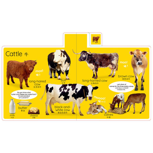 “DK儿童认知百科”系列：《 四季如歌》《日常生活》《开心农场》（全3册） 商品图9