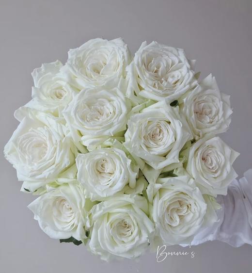 【AB级坦尼克玫瑰】18-20支/份  长约55-60cm 商品图2