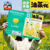 户外春天油菜花研学手册手工diy自然美育儿童制作材料包幼儿园 商品缩略图4