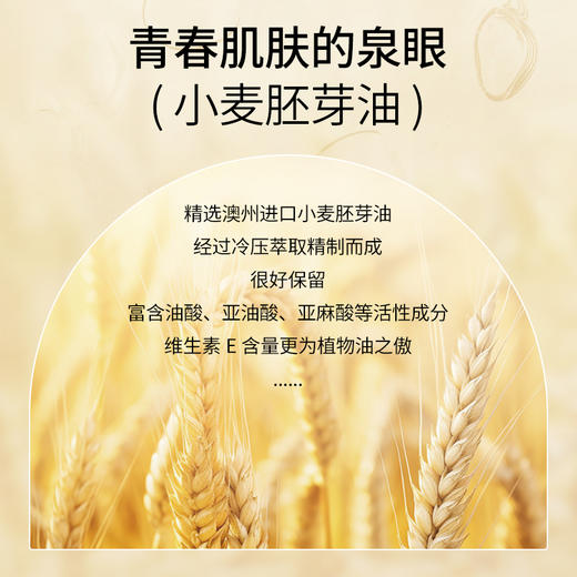 小麦胚芽油基础油30ml/100ml 商品图1
