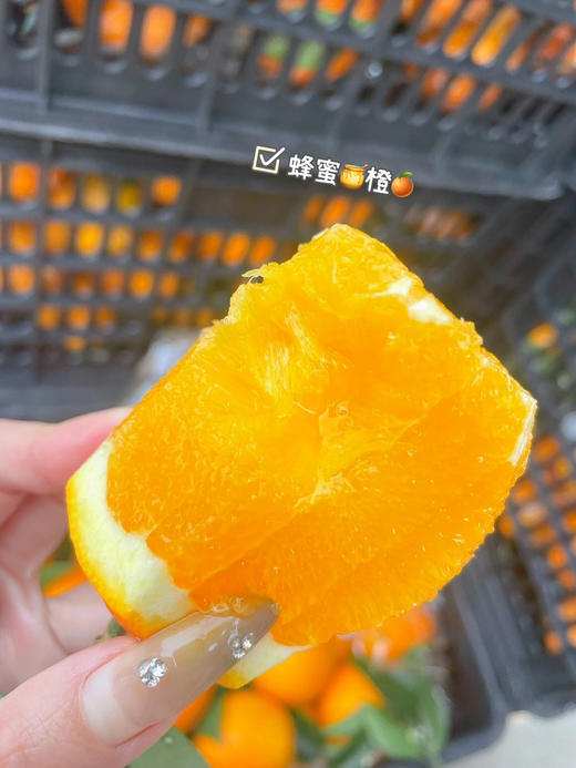【当季必吃】9.9元3斤  蜂蜜橙（口感纯甜） 商品图3