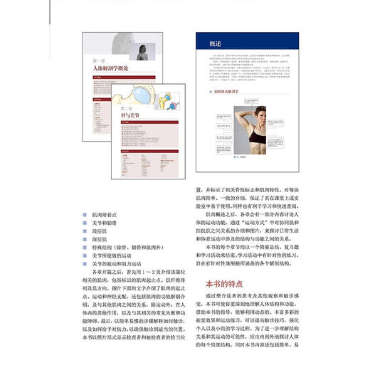 功能解剖学 第2二版 王骏等主译 探索和理解人体的结构 局部解剖和运动特点 骨骼和肌肉触诊方法 人体基本结构 辽宁科学技术出版社 商品图4
