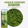 绿色桑叶面条 真桑叶  无添加  0色素 0防腐剂    营养均衡 零蔗糖添加 200g/袋 商品缩略图4