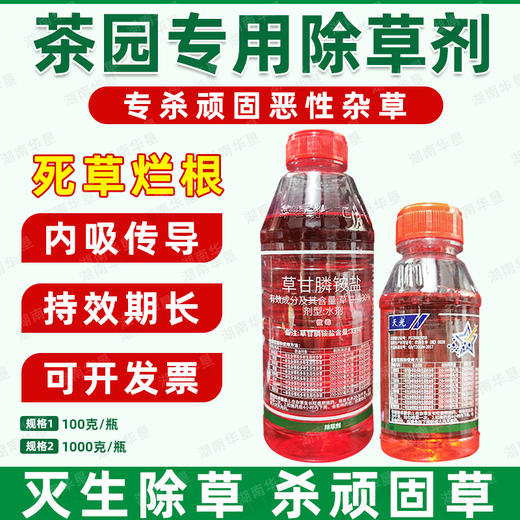 茶园专用除草剂正品草甘膦胺盐柑橘果园专用强力除杂草烂根剂批发 商品图0