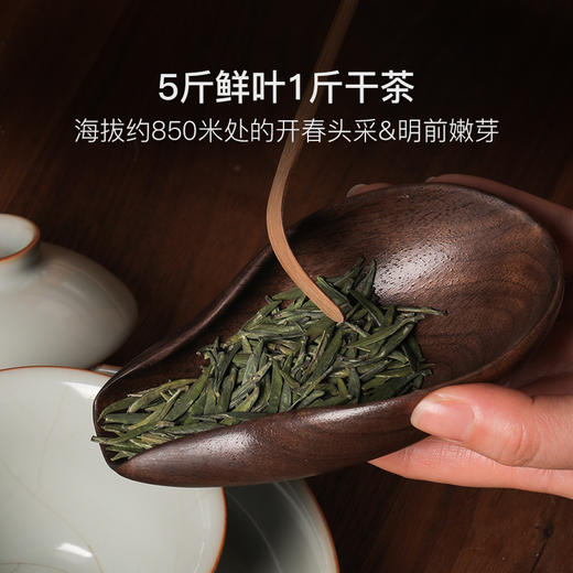 2025蒙顶雀舌 | 开春头采，大师手工制作，量少 商品图2