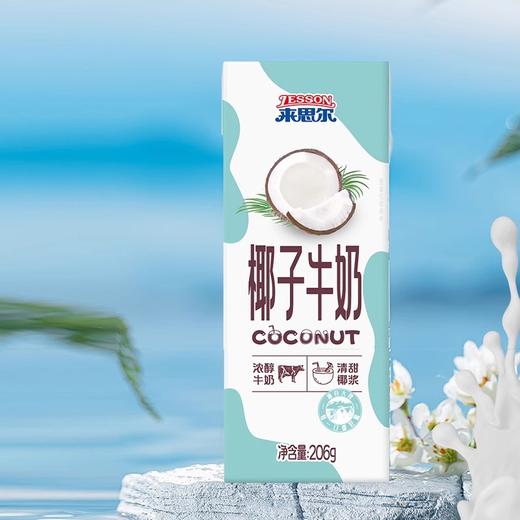 【来思尔椰子牛奶】 206g*16盒整箱批发网红椰汁风味成人学生早晚餐奶 商品图1