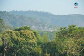  2025茶山日记7｜我行其野，飒飒听风 