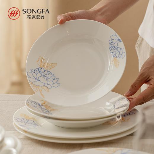 48头蓝宝牡丹骨瓷餐具 商品图2