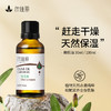 橄榄油基础油 30ml/100m 商品缩略图0