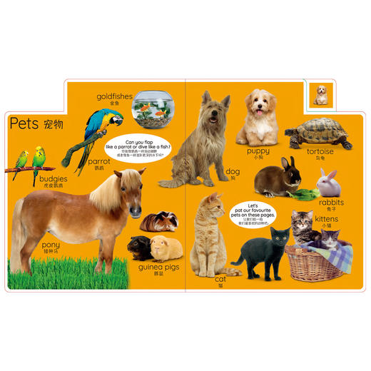 “DK儿童认知百科”系列：《 四季如歌》《日常生活》《开心农场》（全3册） 商品图12