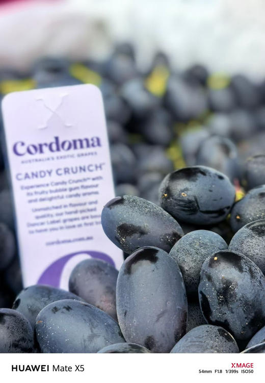 【浓香塞蜜甜】澳大利亚神秘梦境黑提 商品图4