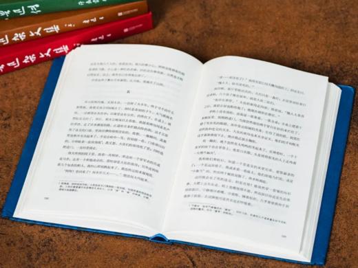 鲁迅作品精选（全5册）北京鲁迅博物馆官方授权，小说+散文+杂文+传记，鲁迅作品精华全网罗 商品图3