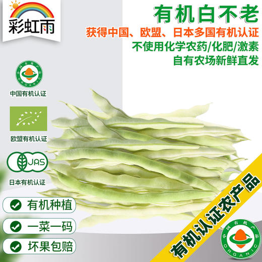 彩虹雨 新鲜有机蔬菜 白不老架豆角 250g 欧盟认证京津冀满百包邮 商品图0