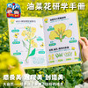 户外春天油菜花研学手册手工diy自然美育儿童制作材料包幼儿园 商品缩略图3