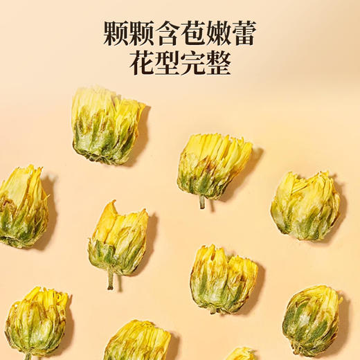 雷允上直营 | 优选菊花50g/罐 色泽金黄 清香四溢 严选桐乡胎菊 商品图3