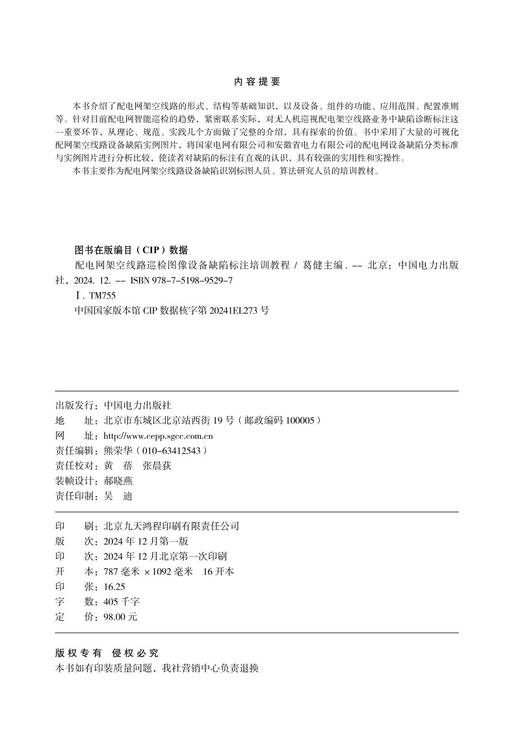 配电网架空线路巡检图像设备缺陷标注培训教程 商品图3