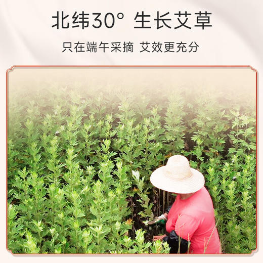 艾修堂  热敷蒸汽眼罩 （6片装）  AP1EE-01 商品图4
