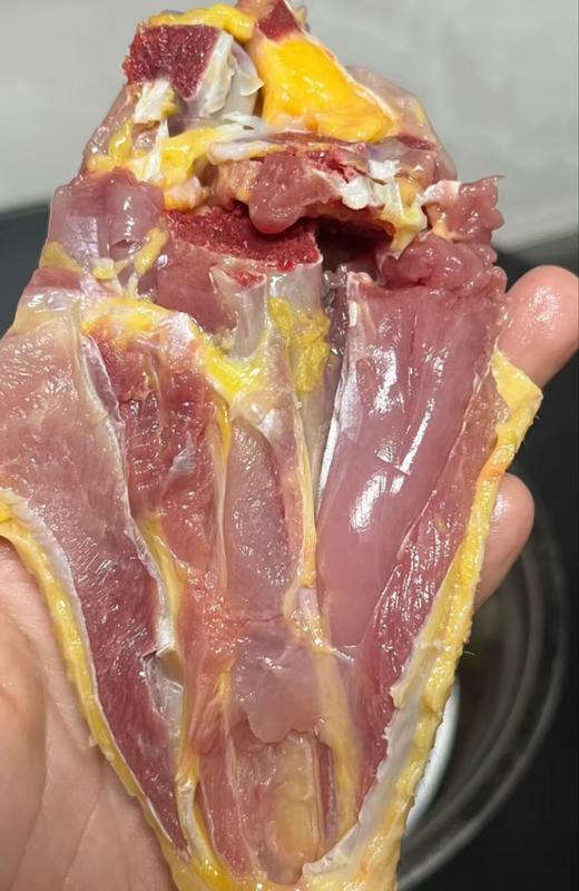 【正宗散养溜达有机食蔬喂养大公鸡】【当日杀当天发货】 商品图12