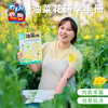 户外春天油菜花研学手册手工diy自然美育儿童制作材料包幼儿园 商品缩略图0